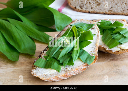 Sauerteig Brot mit Butter und Bärlauch Blätter Stockfoto