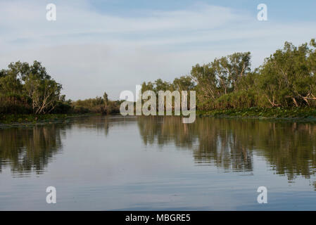 Corroboree Billabong ist Teil des Mary River Wetlands im Northern Territory, Australien Stockfoto