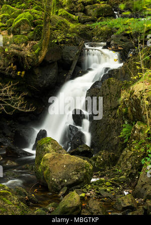 Dob Gill Wasserfall, in Thirlmere Reservoir im englischen Lake District aufsteigt. Stockfoto