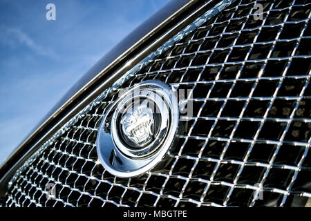 Jaguar Logo im Grill. Jaguar ist eine britische multinationale Automobilhersteller und ist von dem indischen Unternehmen Tata Motors seit 2008 in Familienbesitz. Stockfoto