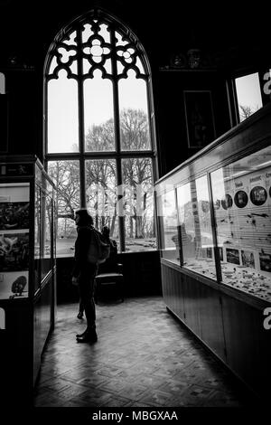 Ein junges Mädchen auf der Suche nach Exponaten im Inneren Cliffe Castle Museum, Keighley, Bradford, Yorkshire, Vereinigtes Königreich. Stockfoto