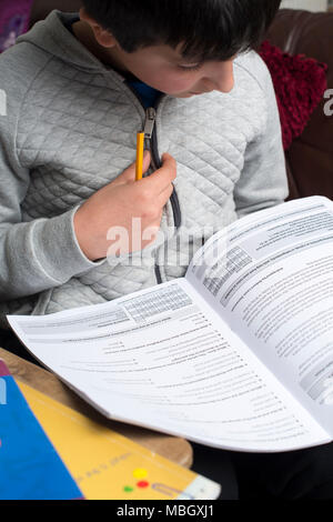 Junge 10 Jahre alt Überarbeitung Englisch zu Hause - close-up Stockfoto