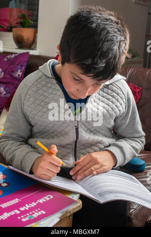 Junge 10 Jahre alt Überarbeitung Englisch zu Hause Stockfoto