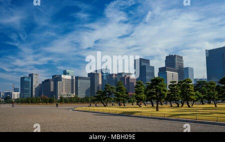 Hohes, modernes Gebäude und Büros in Chiyoda Bereich im Zentrum von Tokio, von Imperial Palace äußeren Gärten gesehen Stockfoto