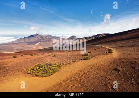 Vulkanische Landschaft mit Lavafeldern in verschiedenen Farben, weite Aussicht, Ocker schattiert, Rottöne, Trail, Pflanzen im Vordergrund, blauer Himmel - Ort: Haw Stockfoto