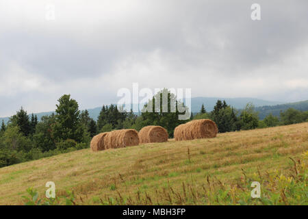 Runde Brötchen frisch gemähtem Heu auf üppigen grünen Hügel mit Bergen im Hintergrund Stockfoto