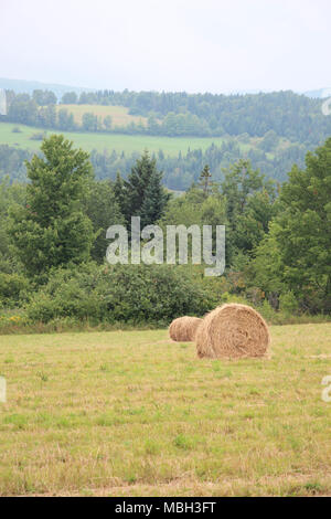 Frisch gemähten Rollen von Heu auf üppigen grünen Hügel mit Bäumen Stockfoto