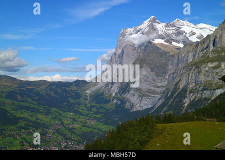 Grindelwald Stockfoto