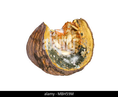 Schimmelige Kürbis auf weißem Hintergrund - Geschlossen Stockfoto