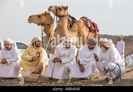 Khadal, Oman, April 7th, 2018: omani Männer mit ihren Kamelen in der Landschaft, zum Rennen warten Stockfoto