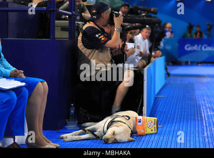 Ein Hund namens 'Leo' mit Photo Akkreditierung an der Gold Coast Aquatic Center bei Tag fünf der Commonwealth Games 2018 in der Gold Coast, Australien. PRESS ASSOCIATION Foto. Bild Datum: Montag, 9. April 2018. Siehe PA Geschichte COMMONWEALTH Schwimmen. Photo Credit: Mike Egerton/PA-Kabel. Einschränkungen: Nur für den redaktionellen Gebrauch bestimmt. Keine kommerzielle Nutzung. Kein Video-Emulation. Stockfoto