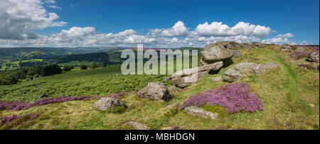 Tag Sommer am Carhead Felsen in der Nähe von Hathersage im Peak District National Park, Derbyshire, England. Stockfoto