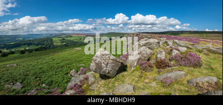 Tag Sommer am Carhead Felsen in der Nähe von Hathersage im Peak District National Park, Derbyshire, England. Stockfoto