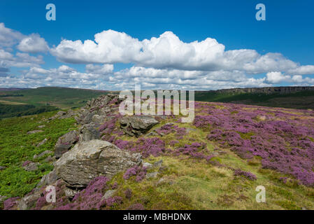 Tag Sommer am Carhead Felsen in der Nähe von Hathersage im Peak District National Park, Derbyshire, England. Stockfoto