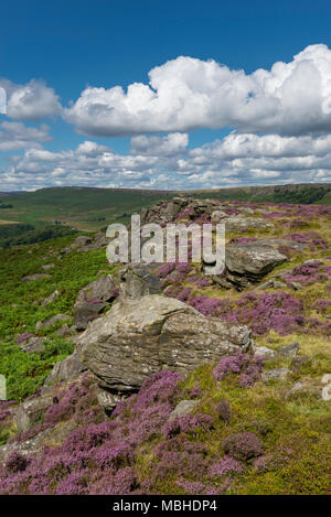 Tag Sommer am Carhead Felsen in der Nähe von Hathersage im Peak District National Park, Derbyshire, England. Stockfoto