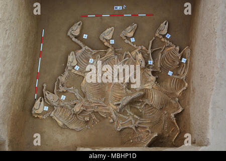 (180411) - Peking, April 11, 2018 (Xinhua) - Datei Foto zeigt ein Grab des Yaoheyuan Ruinen in Pengyang County im Nordwesten Chinas autonomen Region Ningxia Hui. Chinesische Archäologen haben die Top 10 archäologische Entdeckungen in China im Jahr 2017 ausgewählt, die von der China Archäologischen Gesellschaft veröffentlicht wurden und eine Zeitung, die von der Staatlichen Verwaltung des kulturellen Erbes am Dienstag gefördert. (Xinhua) (mcg) Stockfoto