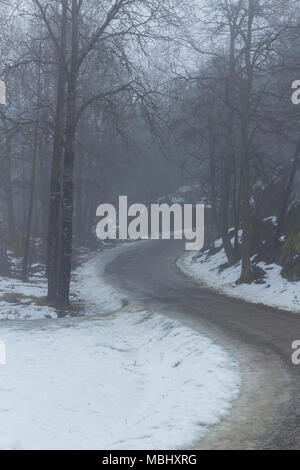 Straße, die in einem Wald, auf dem Berg. Misty, Moody, Tag. Nackareservatet-Naturschutzgebiet in Schweden. Stockfoto