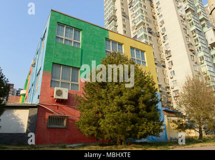 Nadelbaumbaum in einem kleinen öffentlichen Garten vor Wohngebäude in Jinding Wohngegend in Western Beijing, China Stockfoto