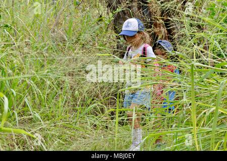 Townsville Stadt gemeinsame Conservation Park, Pallarenda, QLD, Australien Stockfoto