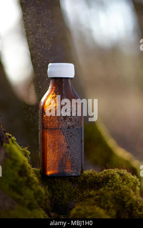 Natürliche Medizin-Flasche. Frische Kräuter in einem medizinischen braune Flasche, Glas Stockfoto