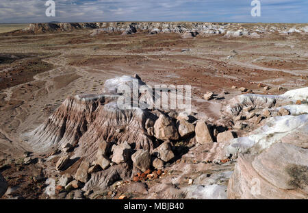 Blick von Jasper Forest übersehen in Petrified Forest National Park, Arizona, mit vielfarbigen Badlands und Cluster der versteinerte Baumstämme. Stockfoto