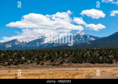 Weide & schneebedeckten Methodistischen Berg; Vandaveer Ranch; Salida, Colorado, USA Stockfoto