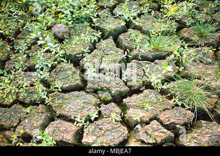 Der Lac de Guerlédan ist zwischen April und November 2015 abgelassen werden, Côtes-d'Armor, Bretagne, Frankreich. Stockfoto