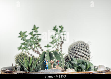Miniatur Wanderer entlang der Wüstenlandschaft. Stockfoto