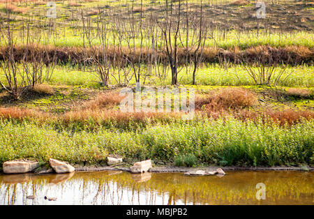 Der Lac de Guerlédan ist zwischen April und November 2015 abgelassen werden, Côtes-d'Armor, Bretagne, Frankreich. Stockfoto