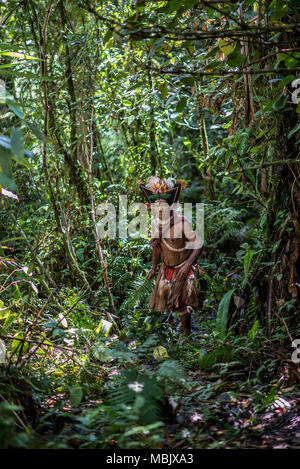 Ein erwachsener Huli Wigman im Wald, Tari Tal, Papua-Neuguinea Stockfoto