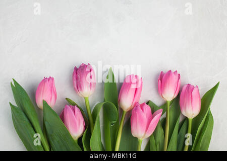 Frühling Blumen. Rosa Tulpe auf weißem Hintergrund. Flach. Ansicht von oben mit der Kopie Raum Stockfoto