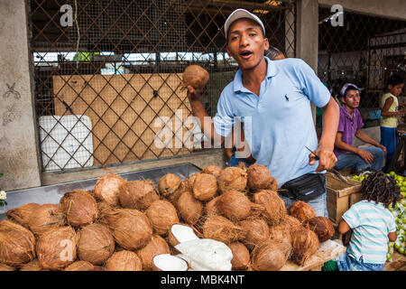 SANTO DOMINGO, Ecuador - 15. APRIL 2010: unbekannter Mann verkauft Kokosnüsse auf dem Markt von Santo Domingo, Ecuador. Stockfoto