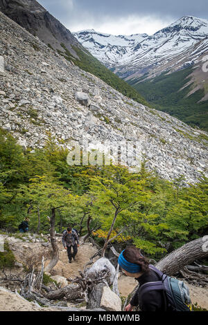 Nahe Moraine, zum Mirador Base Torres, durch Lenga Wald gehen, Nothofagus pumilio Wald, Torres del Paine Nationalpark, Patagonien, Chile Stockfoto