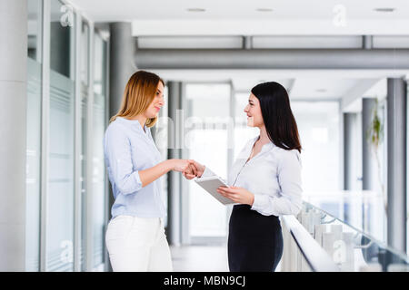 Business Frauen tun Handshake in modernen Unternehmen Innenraum Stockfoto