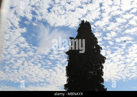 Herzförmige hole Punch cloud Stockfoto