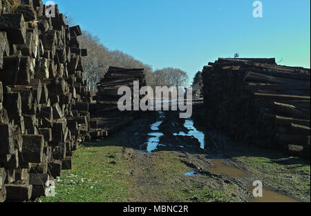 Feld mit riesigen Haufen von Bahn Kreuz Riegel Stockfoto