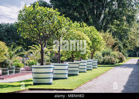 De Steeg, Niederlande, 23. August 2014: Der Garten rund um das Schloss- und Landgut Middachten in De Steeg in Nederland Stockfoto