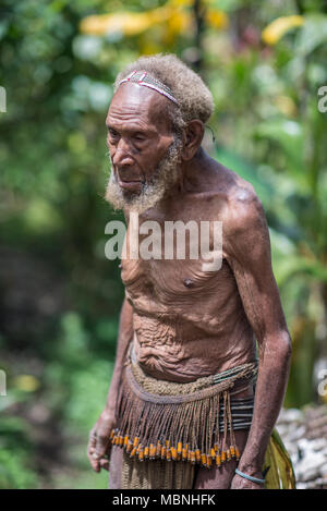 Porträt eines alten Huli wigmaster, Tari Tal, Papua-Neuguinea Stockfoto