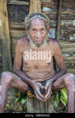 Porträt eines sitzenden alten Huli wigmaster, Tari Tal, Papua-Neuguinea Stockfoto