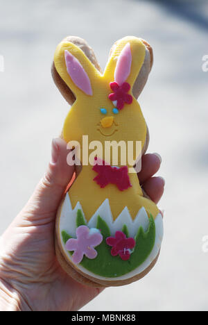 Osterhase Cookies eingerichtet bunten Zucker Glasur einfügen Stockfoto
