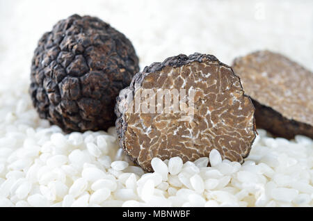 Schwarze italienische Trüffel auf Ungekocht kurz- Reis Stockfoto