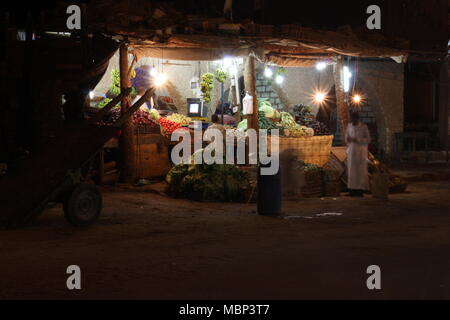 Pflanzliche Abschaltdruck an einem warmen Abend in Siwa Oase Stockfoto