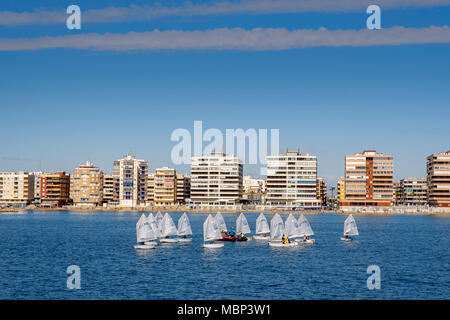 Segelschule am Hafen von Torrevieja Spanien. Stockfoto