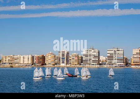 Segelschule am Hafen von Torrevieja Spanien. Stockfoto