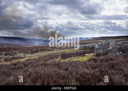 Heather Brennen auf Grouse Moor im Februar. Suchen south west von Low Moor in Richtung Benny verbogen und Greenhow Sike. Nidderdale. Stockfoto