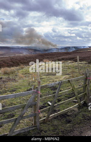 Heather Brennen auf Grouse Moor im Februar. Suchen south west von Low Moor in Richtung Benny verbogen und Greenhow Sike. Nidderdale. Stockfoto