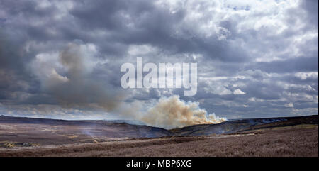 Heather Brennen auf Grouse Moor im Februar. Suchen south west von Low Moor in Richtung Benny verbogen und Greenhow Sike. Nidderdale. Stockfoto