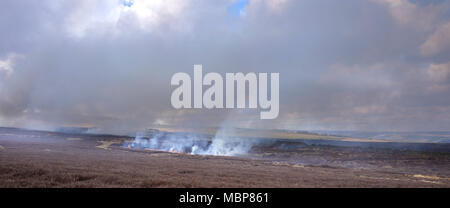 Heather Brennen auf Grouse Moor im Februar. Von Low Moor nach Norden Osten über Nidderdale zu Pateley Bridge. Stockfoto