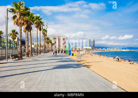 Playa de la Barceloneta Strand der Stadt im Zentrum der Stadt Barcelona, Katalonien Region von Spanien Stockfoto