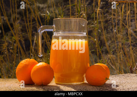 Frisch gepresster Orangensaft in einem Glaskrug mit frischen Orangen im Freien mit natürlicher Kulisse Stockfoto